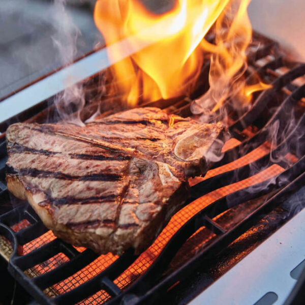 Napoleon Rogue keraamilise steigipliidi ja vardapõletiga gaasigrill - Image 7